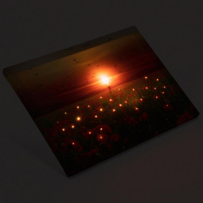 Nástenná maľba maky, 1 LED, 30 x 40 cm Nástenná maľba maky, 1 LED, 30 x 40 cm