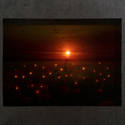 Nástenná maľba maky, 1 LED, 30 x 40 cm Nástenná maľba maky, 1 LED, 30 x 40 cm