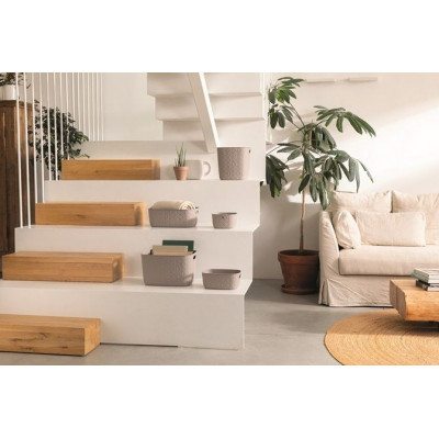 Softex XS Úložný box, 3 L - tmavosivá