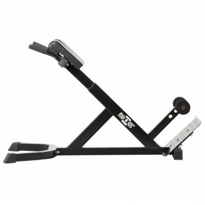 MAXXUS Hyperextenčný trenažér chrbta, 17 kg MAXXUS Hyperextenčný trenažér chrbta, 17 kg