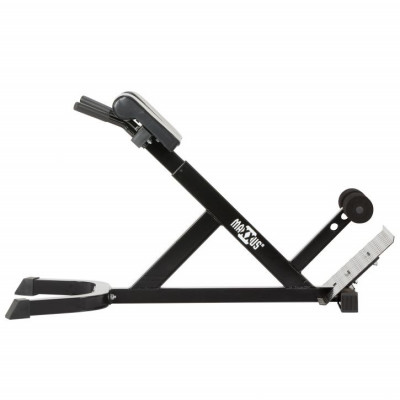 MAXXUS Hyperextenčný trenažér chrbta, 17 kg MAXXUS Hyperextenčný trenažér chrbta, 17 kg