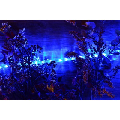 NEXOS LED svetelný kábel 20 m, 480 LED diód, modrý