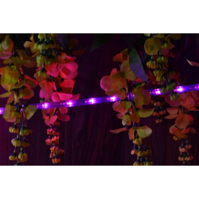 NEXOS LED svetelný kábel 10 m, 240 LED diód, ružový