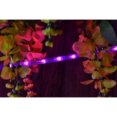 NEXOS LED svetelný kábel 10 m, 240 LED diód, ružový