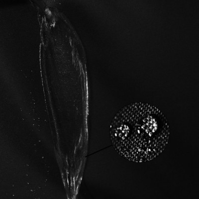 Záhradný párty stan 3 x 6 m INSTENT - nožnicový - čierna