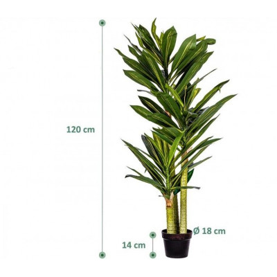PLANTASIA umelý strom Dracaena 120 cm, 81 listov