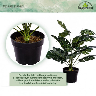 PLANTASIA Umelá rastlina monstera, 60 cm