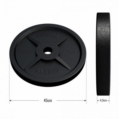 Gorilla Sports Záťažový kotúč 50/51 mm, liatina, 25 kg