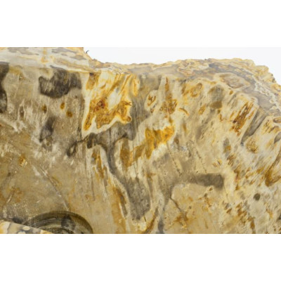 Umývadlo z prírodného kameňa FOSSIL DIVERO - veľké