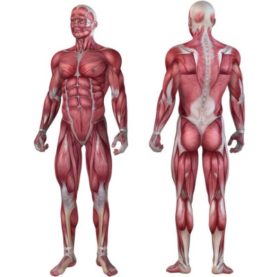 Posilňovací masážny valec - FITNESS ROLLER MOVIT oranžová