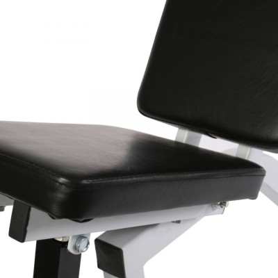 PHYSIONICS multifunkčná posilňovacia lavica, 120 x 47 cm