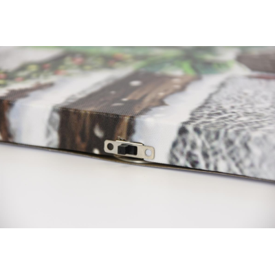 Nástenná maľba koňa a vrabca, LED, 30 x 40 cm