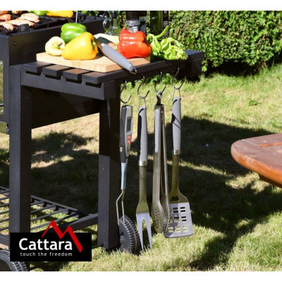 Cattara kefa na gril SHARK, 45 cm