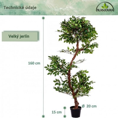 PLANTASIA Umelý strom jerlín, 160 cm