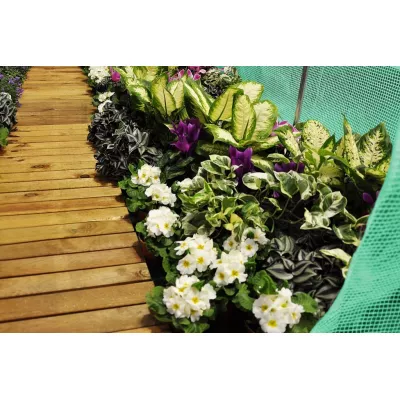 Fóliovník 200 x 300 cm (6 m²) zelený