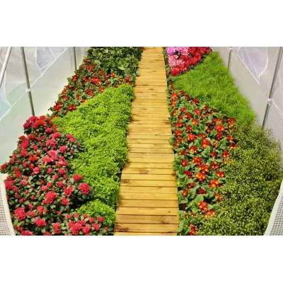 Fóliovník 200 x 300 cm (6 m²) zelený