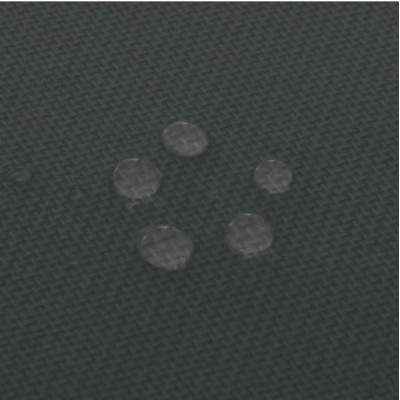 Sada 2 ks polstrovania na lehátko Florentine atrancit