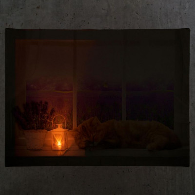 Nástenná maľba mačka na okne, 1 LED, 30 x 40 cm Nástenná maľba mačka na okne, 1 LED, 30 x 40 cm