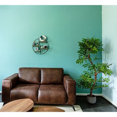 STILISTA Nástenná okrúhla polica, tm. drevo, 48 x 48 x 12 cm